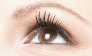 lash lift, lvl lashes, lash perming, eyelash, Newcastle beauty salon Gosforth Killingworth Wallsend Benton