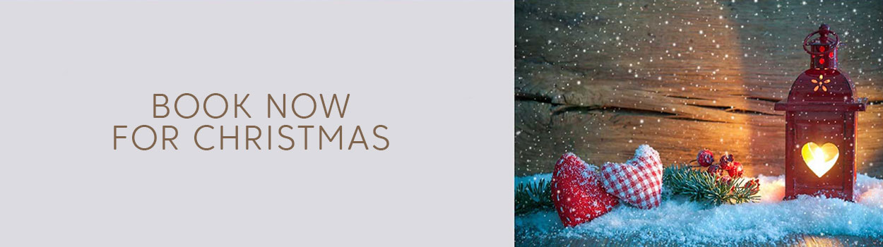 BOOK NOW FOR CHRISTMAS banner 2